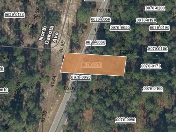 0 N DAKOTA Avenue, Hawthorne, FL 32640