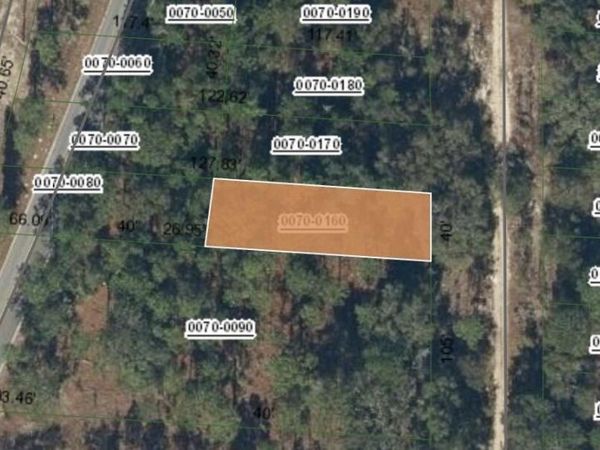 0 MADISON Avenue, Hawthorne, FL 32640
