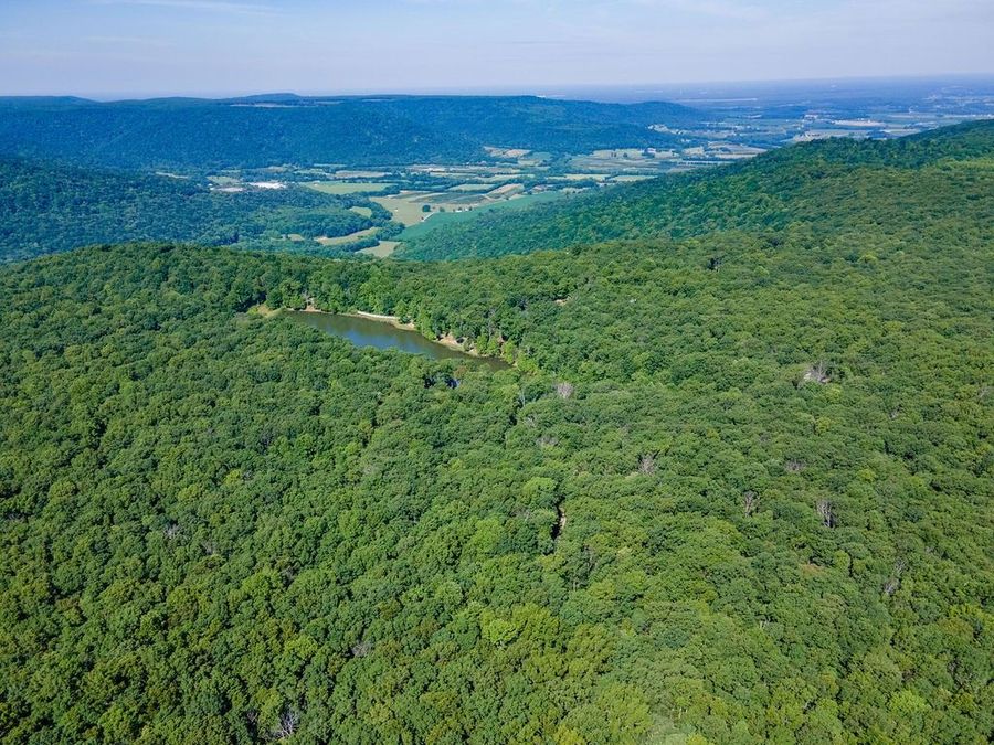 Property Image 8