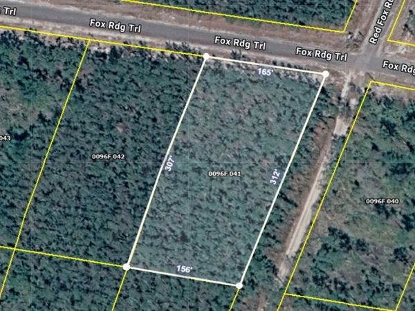 V/L 41 Fox Ridge Trail, Waynesville, GA 31566