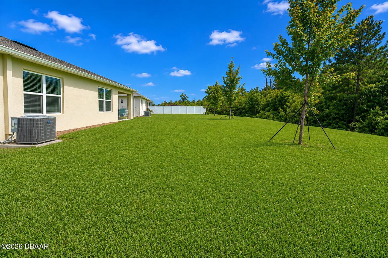 3221 Carpentaria Drive, New Smyrna Beach, FL 32168 Photo