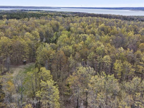 Farrier Road, Hillman, MI 49746