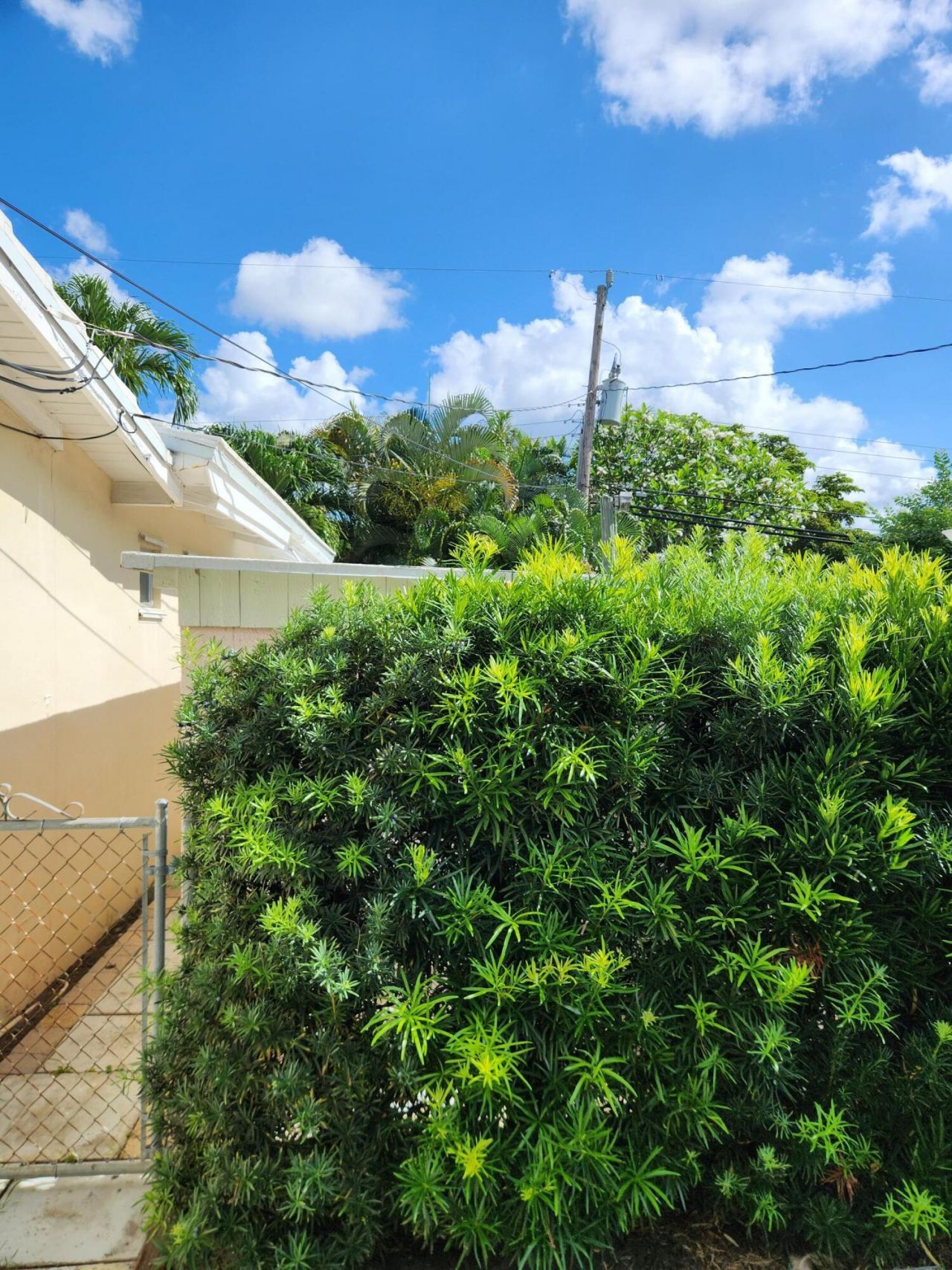 111 SE 7th Street, Pompano Beach, FL 33060 Photo