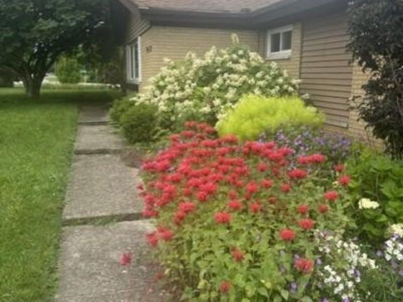 9025 Bunnell Hill Road, Clearcreek Township, OH 45458 Photo 7