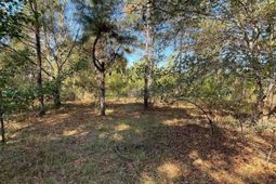 110 Willow Creek Boulevard  photo 4