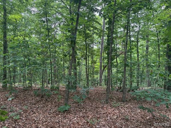 0 Highway 21 , Ellington, MO 63638
