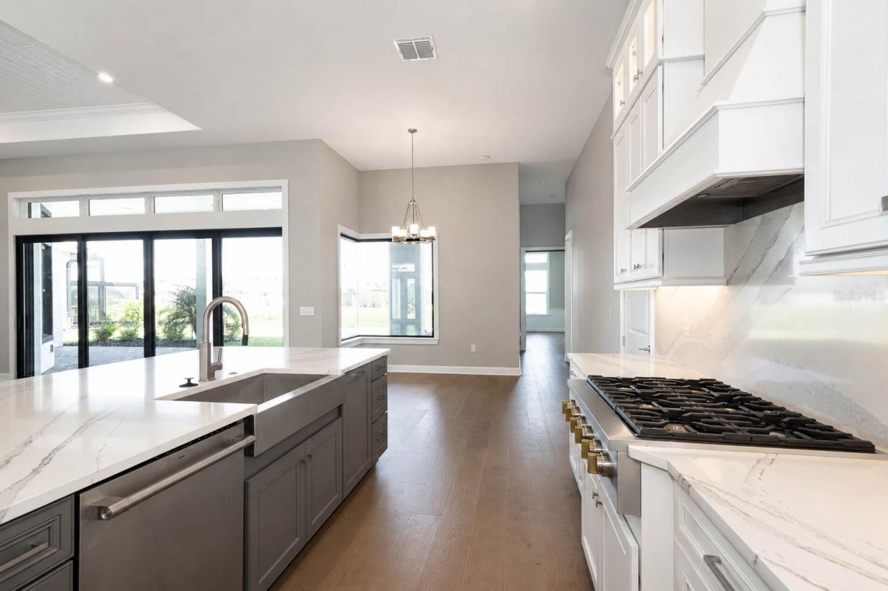4866 Freccia Loop, Wesley Chapel, FL 33543 Photo
