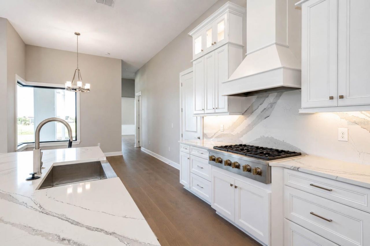 4866 Freccia Loop, Wesley Chapel, FL 33543 Photo