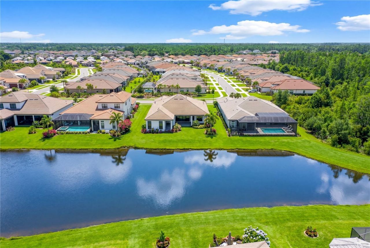 4866 Freccia Loop, Wesley Chapel, FL 33543 Photo