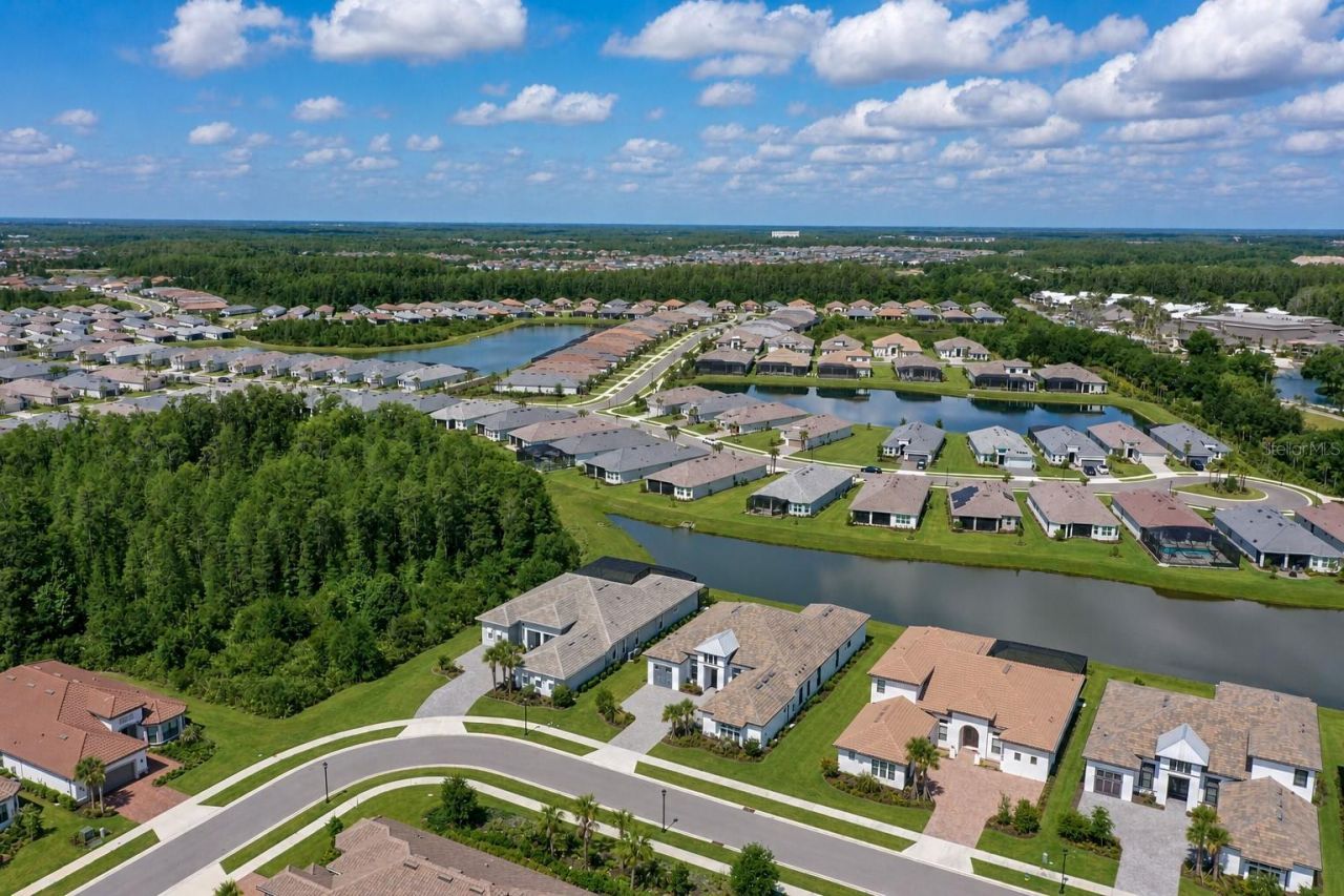 4866 Freccia Loop, Wesley Chapel, FL 33543 Photo