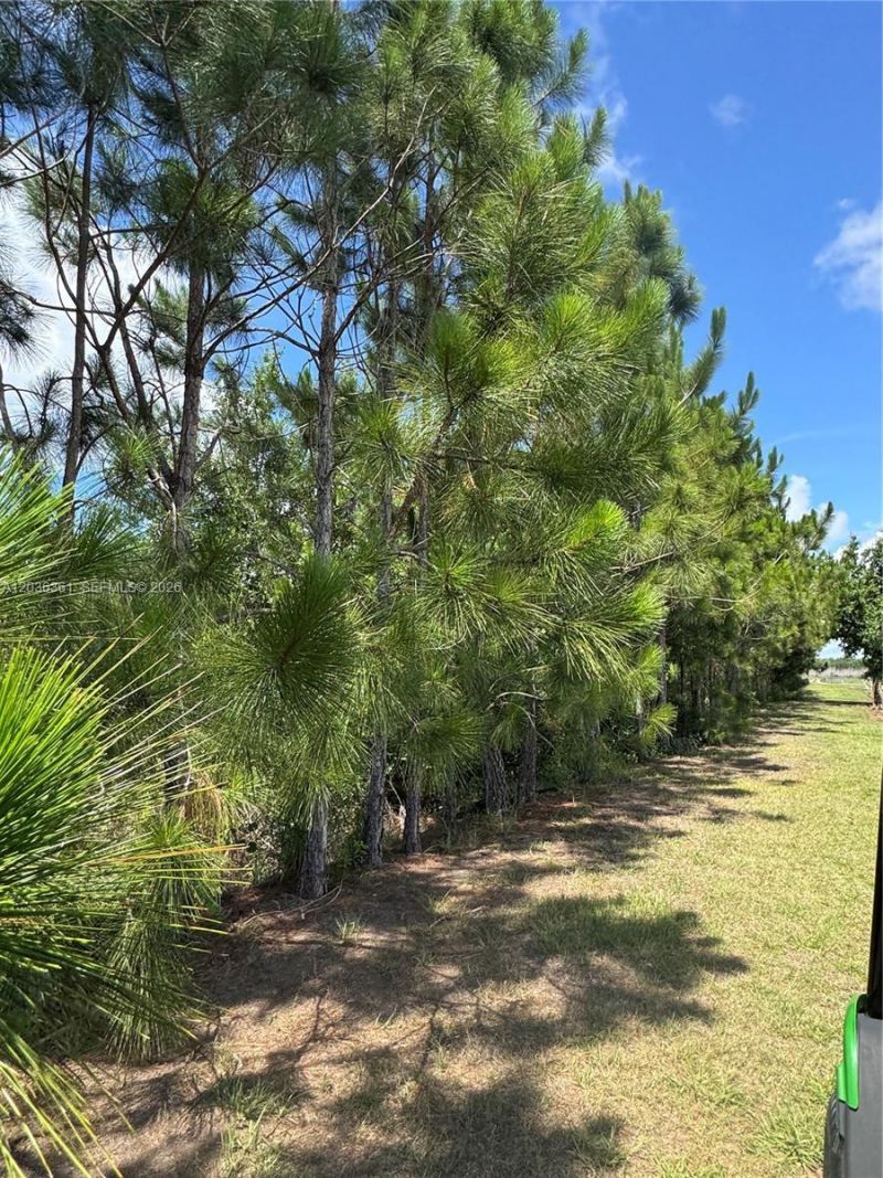 476 N Barlow Rd , Wauchula, FL 33873 Photo