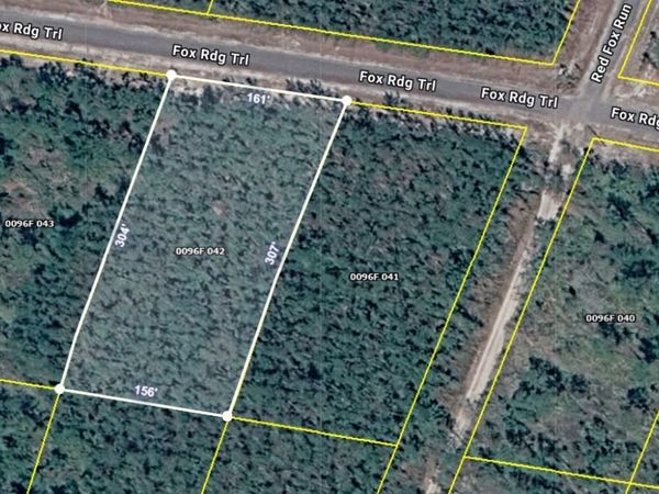 V/L 42 Fox Ridge Trail, Waynesville, GA 31566