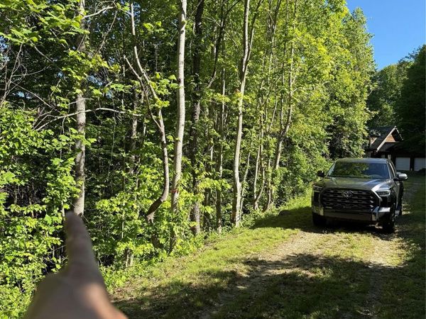 9999 Countryside Estate, Barnardsville, NC 28709