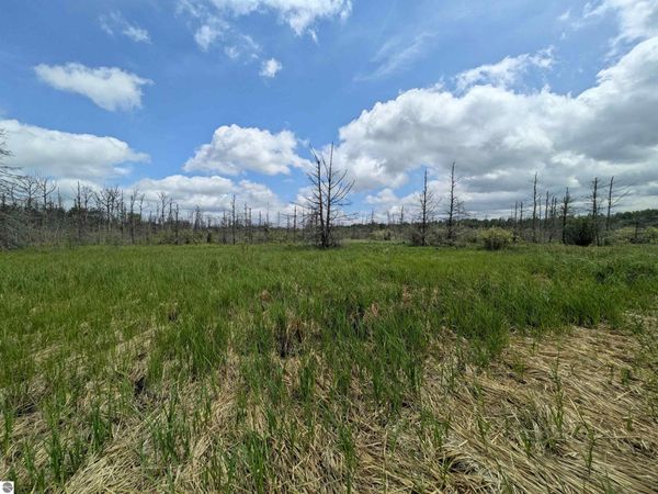 M-48, Pickford, MI 49774