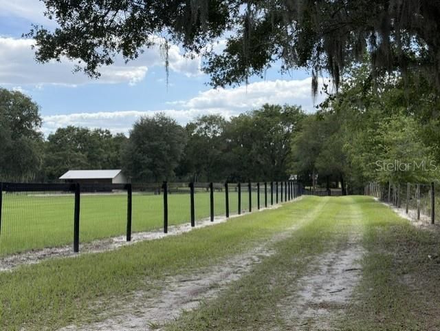 559 SW 15th Court, Bell, FL 32619 Photo