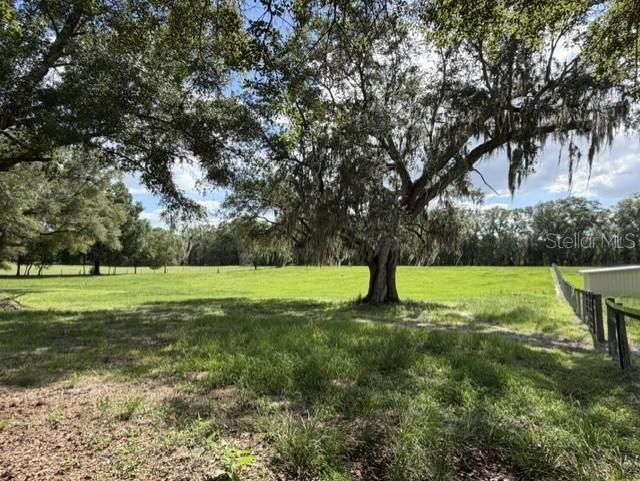 559 SW 15th Court, Bell, FL 32619 Photo