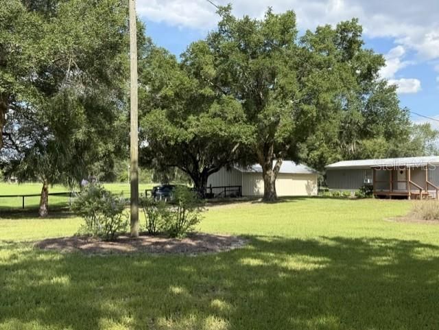 559 SW 15th Court, Bell, FL 32619 Photo