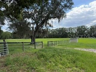 559 SW 15th Court, Bell, FL 32619 Photo