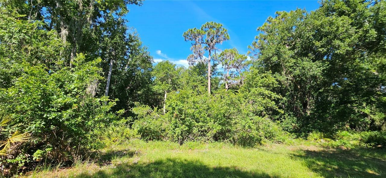 Please Call For Address, Frostproof, FL 33843 Photo