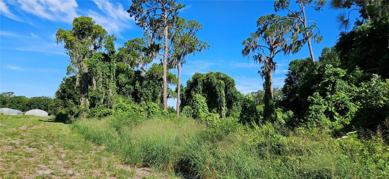 Please Call For Address, Frostproof, FL 33843 Photo