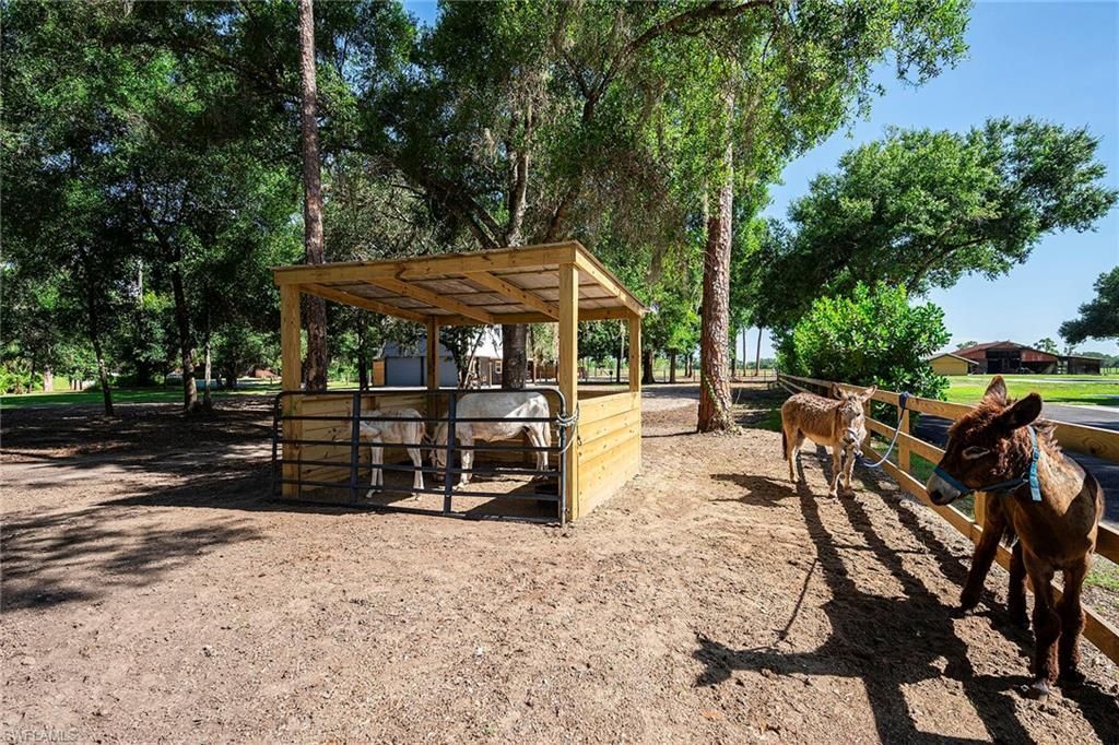 14661 Duke Hwy, Alva, FL 33920 Photo