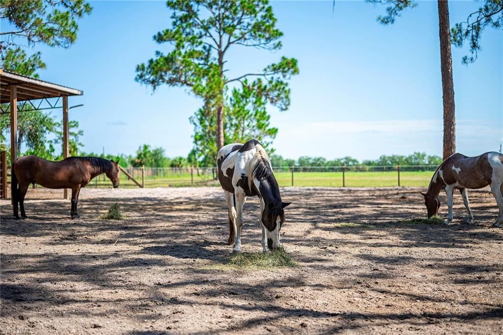 14661 Duke Hwy, Alva, FL 33920 Photo