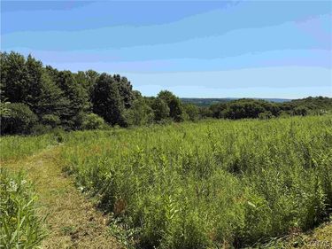 Dye Road, South Dayton, NY 14138