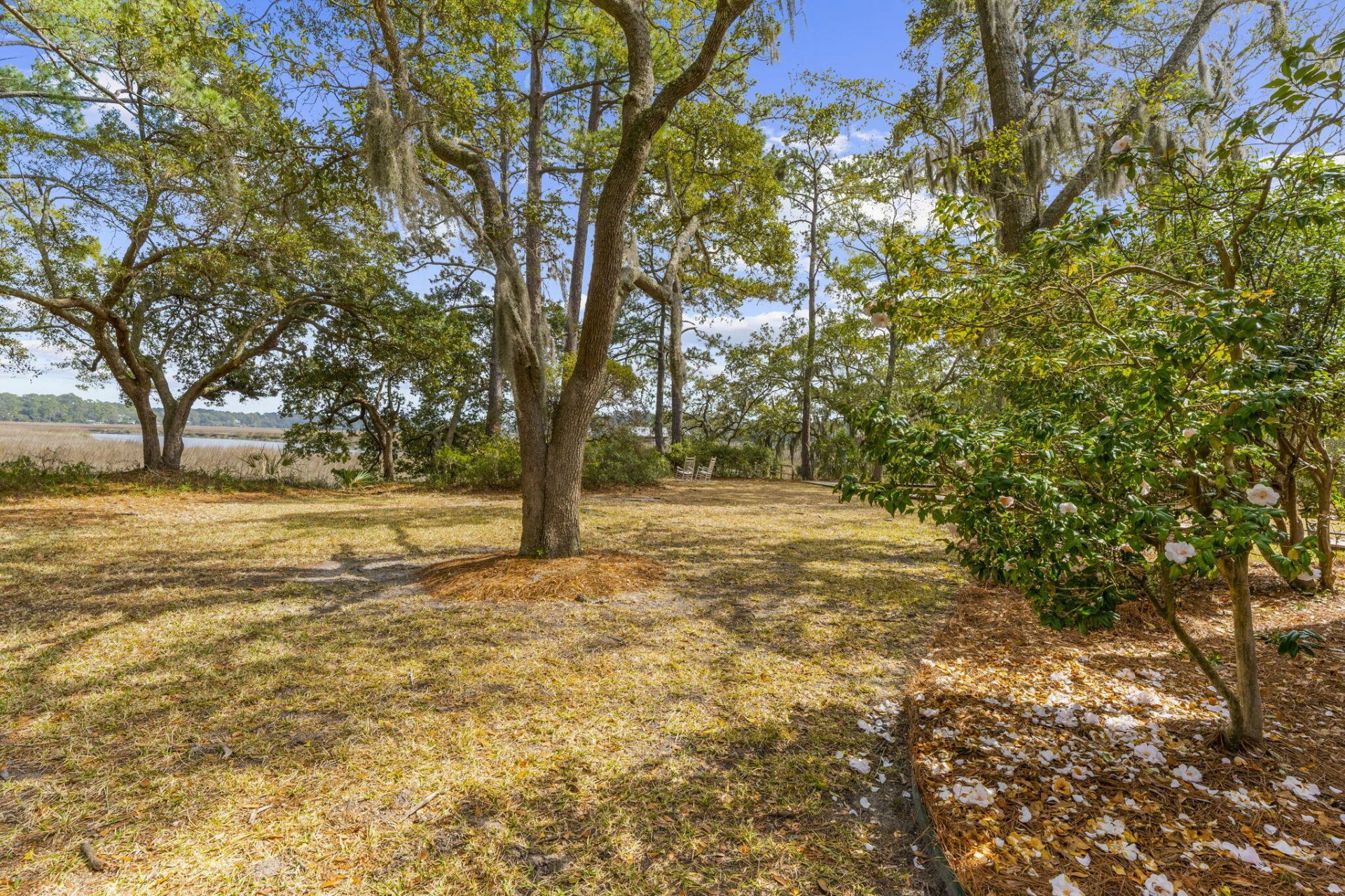 8340 Crooked Creek Lane Photo 93