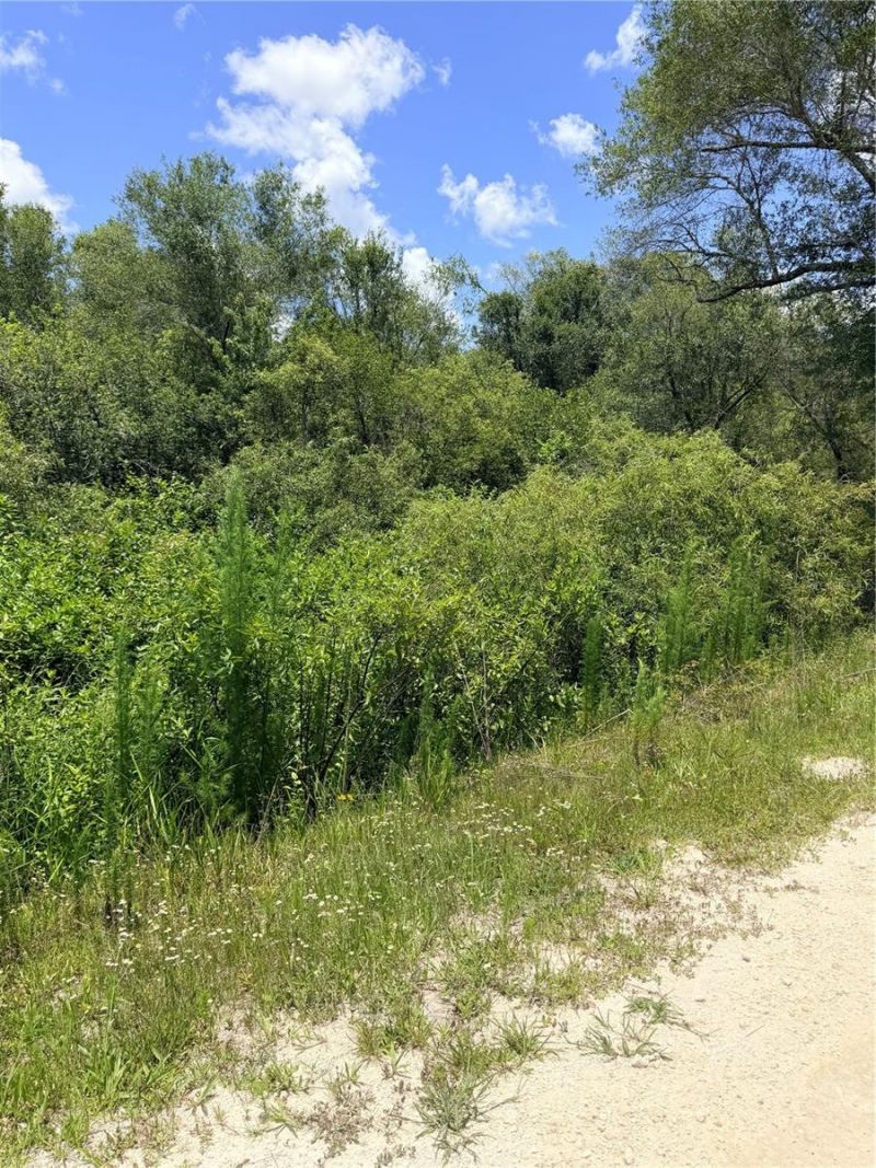 Lot 10 Hardstone Drive, Webster, FL 33597 Photo