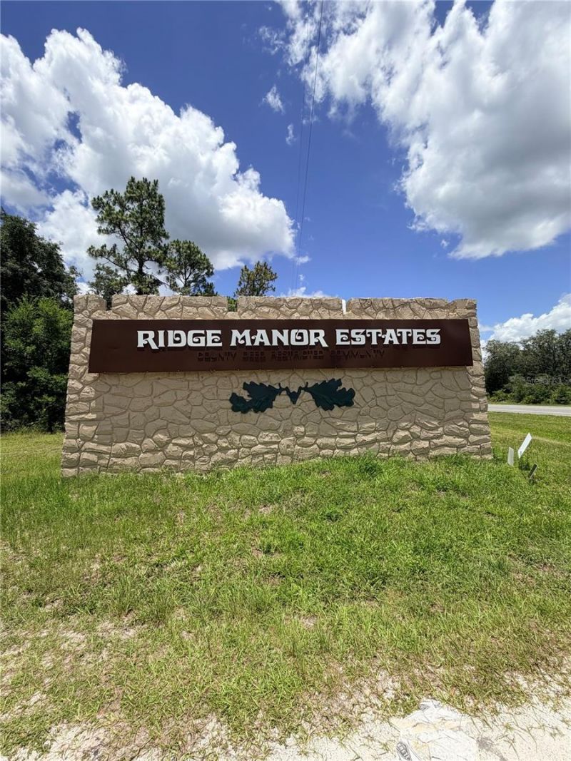 Lot 10 Hardstone Drive, Webster, FL 33597 Photo