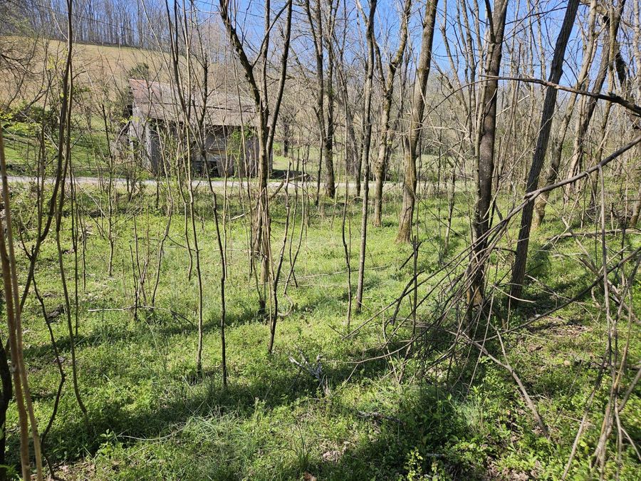 Property Image 28