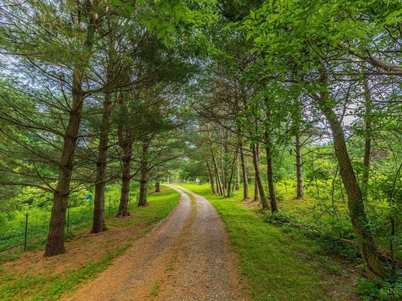 1237 Black Hollow Road, Peebles, OH 45660 Photo 3
