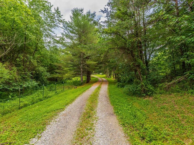 1237 Black Hollow Road, Peebles, OH 45660 Photo 4