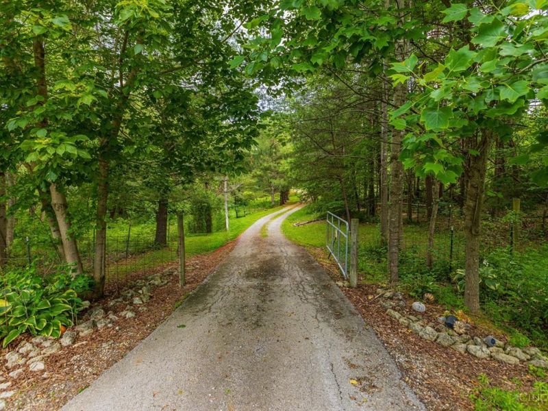 1237 Black Hollow Road, Peebles, OH 45660 Photo 5