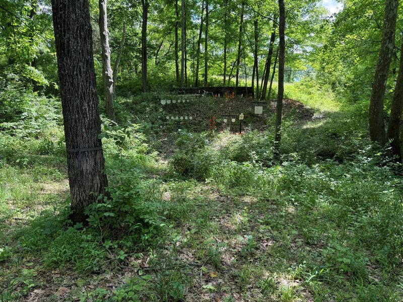 3958 Hwy 1130, Sanders, KY 41083 Photo 20