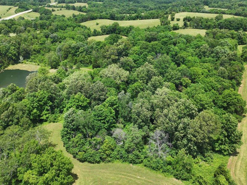 3958 Hwy 1130, Sanders, KY 41083 Photo 44