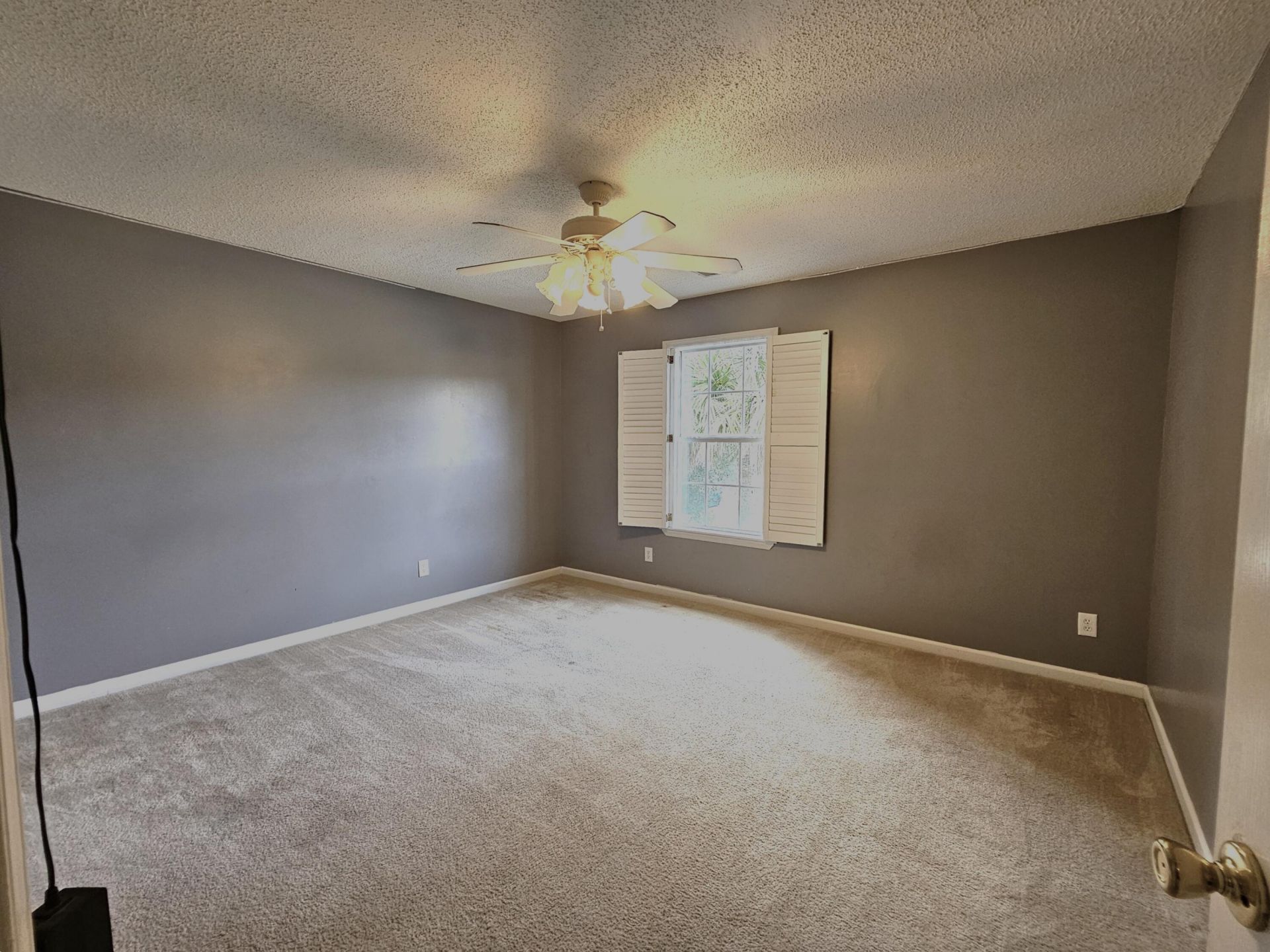 411 Aberdeen Circle Photo 16