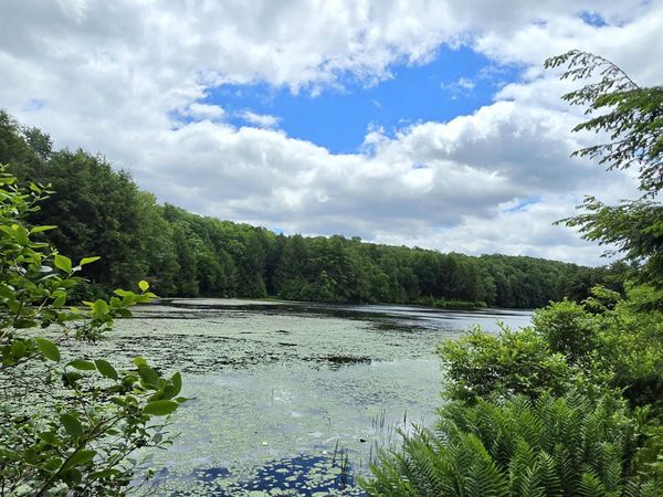 LOT 9 DEEP HOLLOW Run , Muncy Valley, PA 17758