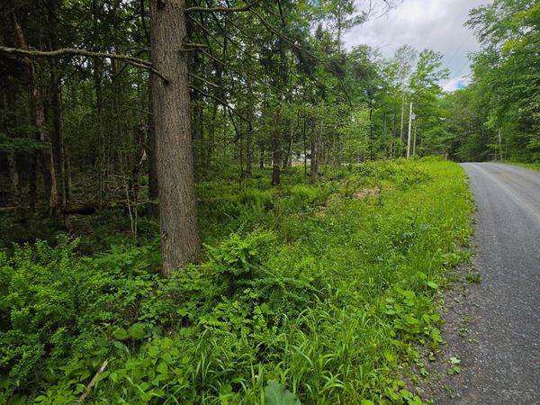 LOT 23 WOODED Lane , Muncy Valley, PA 17758