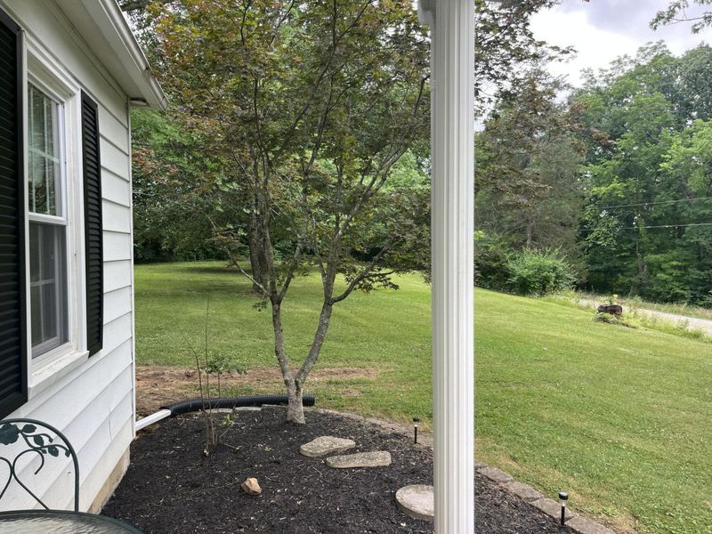 9660 Jonesville Road, Dry Ridge, KY 41035 Photo 10
