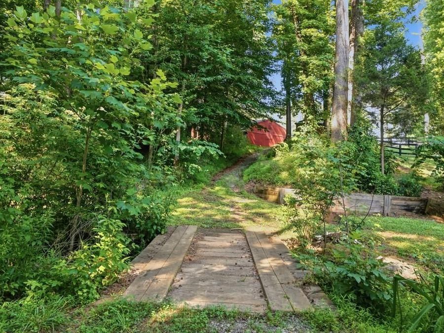 Property Image 59