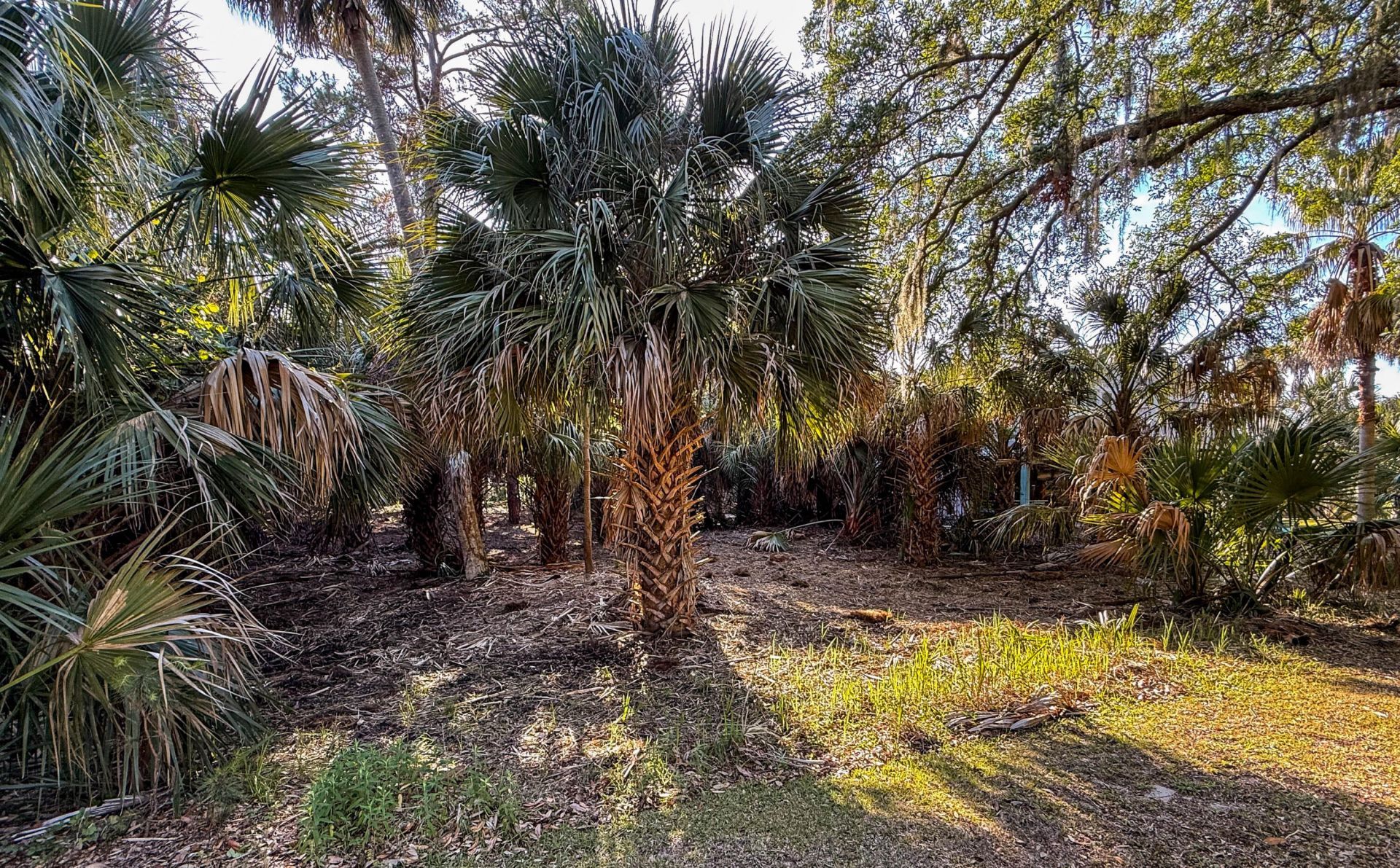 3303 Fort Street Photo 12