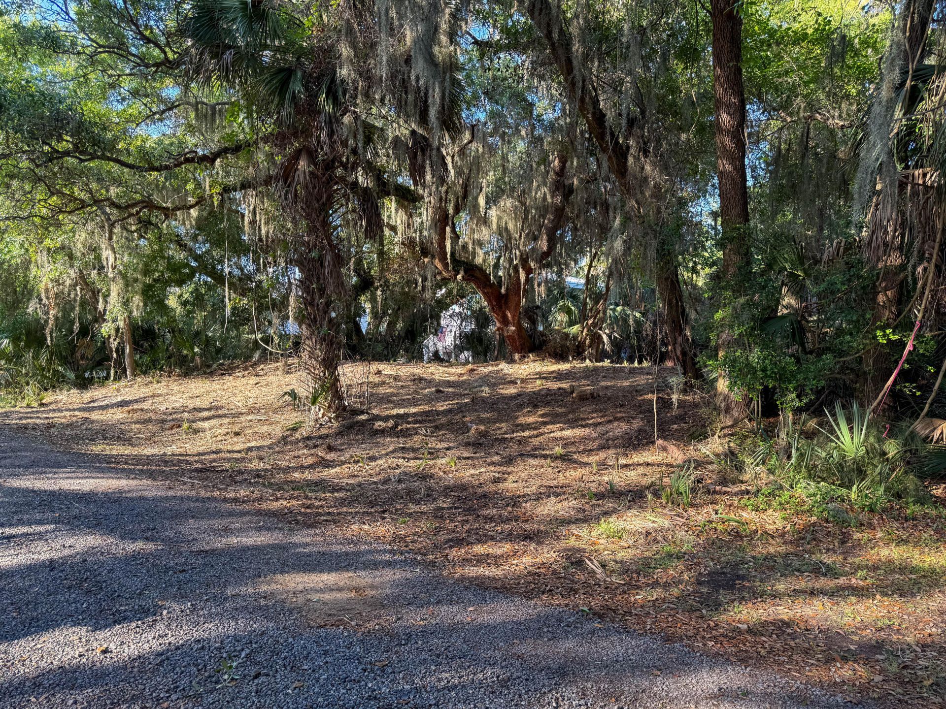 3303 Fort Street Photo 18