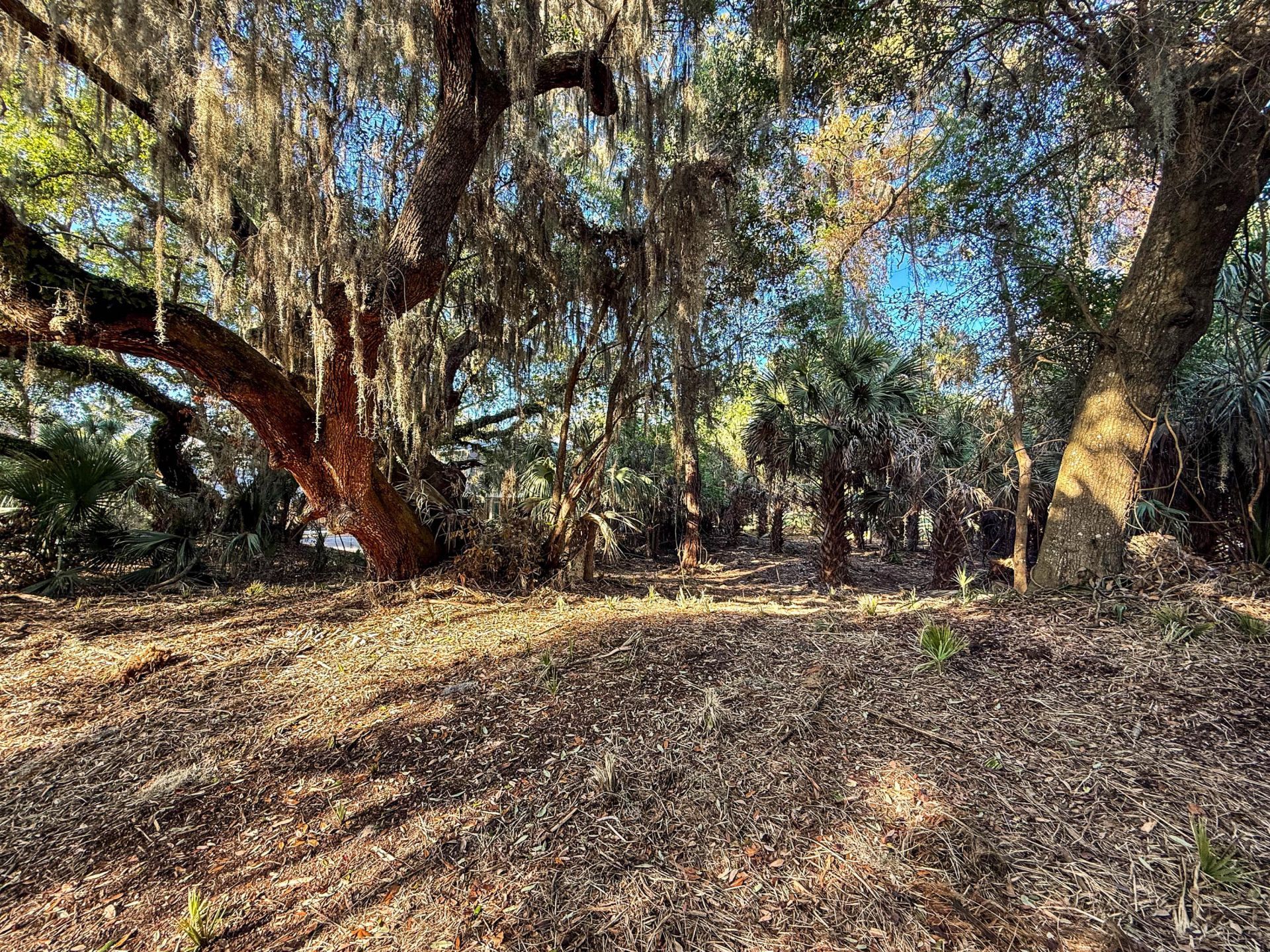 3303 Fort Street Photo 2