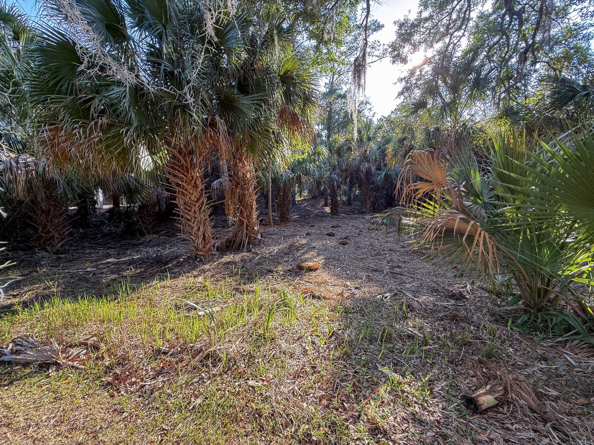 3303 Fort Street Photo 22