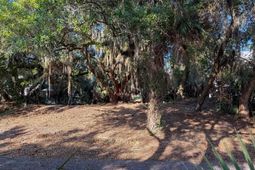 3303 Fort Street photo 4