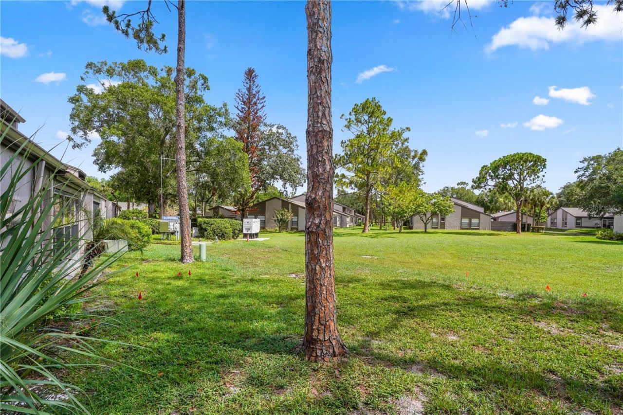 213 Nettlewood Lane , Casselberry, FL 32730 Photo