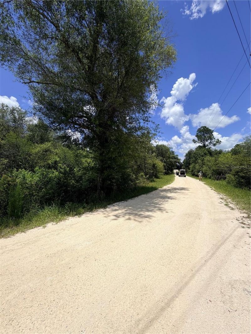 Lot 9 Hardstone Drive , Webster, FL 33597 Photo