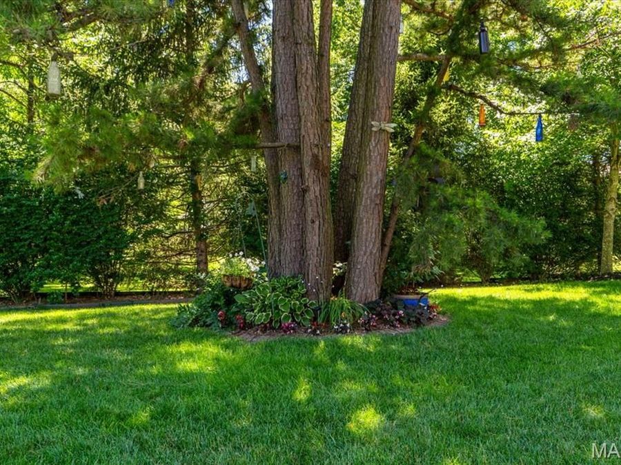 Property Image 59