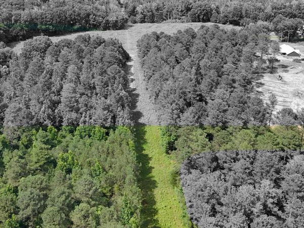 Highway 12 E, Steens, MS 39766